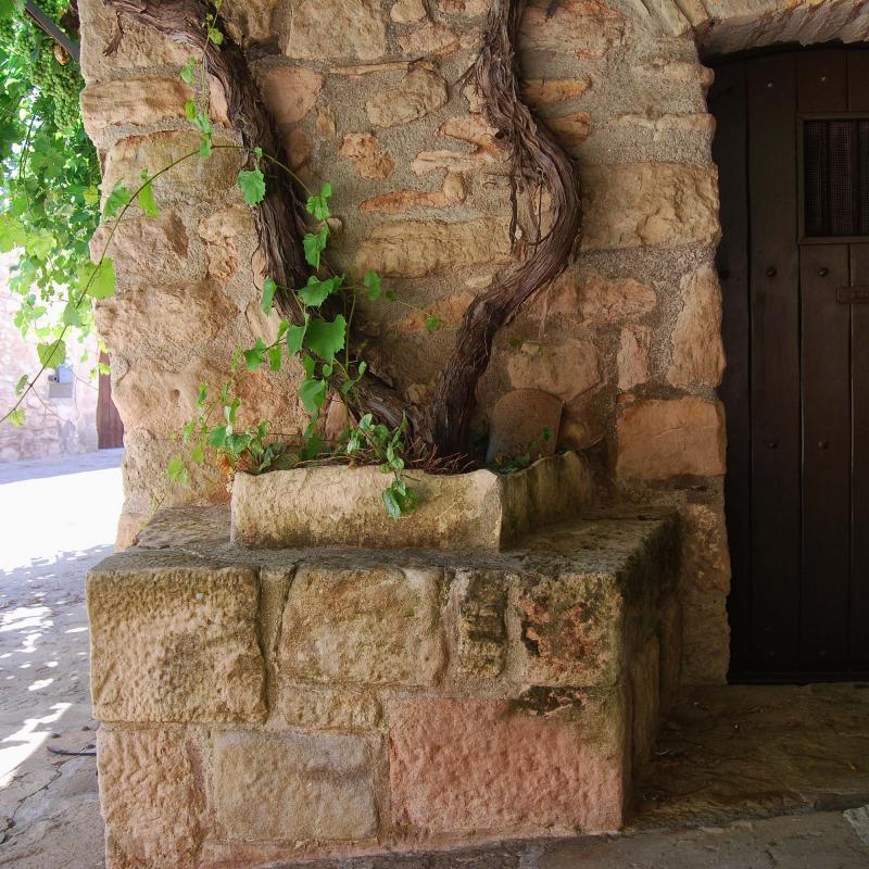 8.8.2016 Sant Pere Sallavinera - Ramon Sunyer