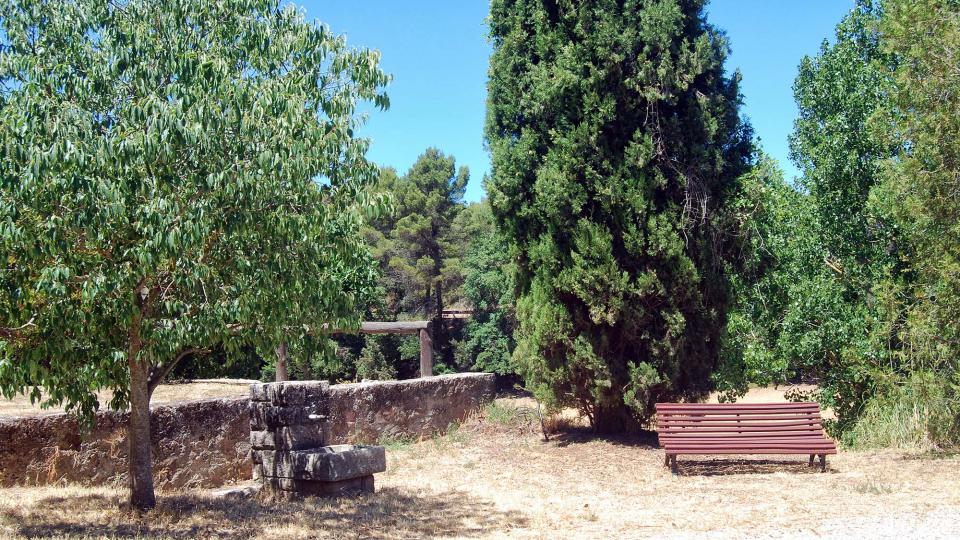 8.8.2016 Sant Pere Sallavinera - Ramon Sunyer