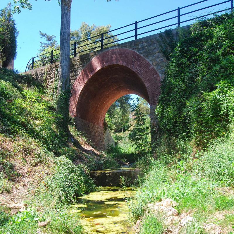 8.8.2016 Sant Pere Sallavinera - Ramon Sunyer
