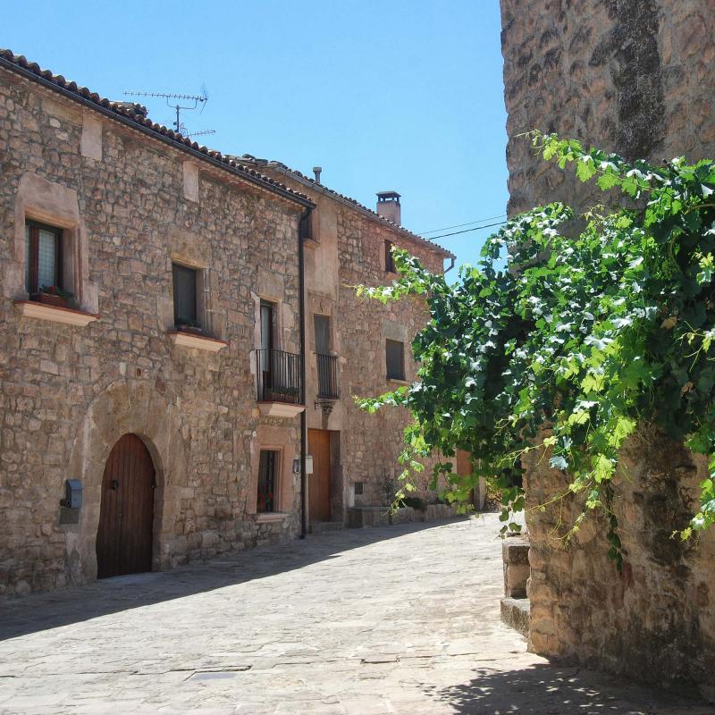 8.8.2016 Sant Pere Sallavinera - Ramon Sunyer