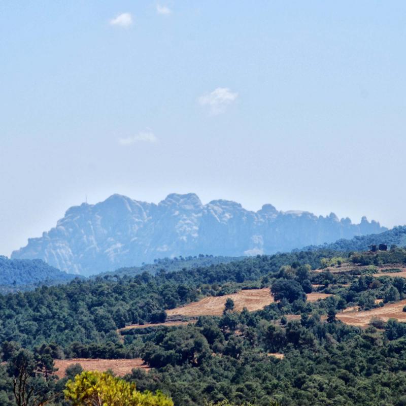 vista de Mpontserrat 8.8.2016 vista de Mpontserrat Sant Pere Sallavinera - Ramon Sunyer
