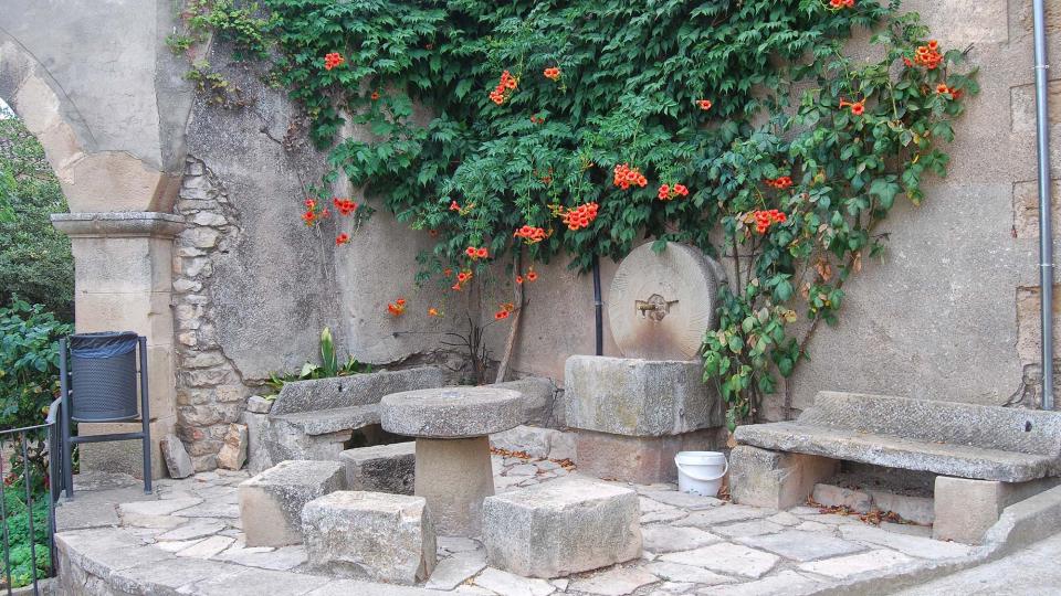 jardí 9.8.2016 jardí La Fortesa - Ramon Sunyer