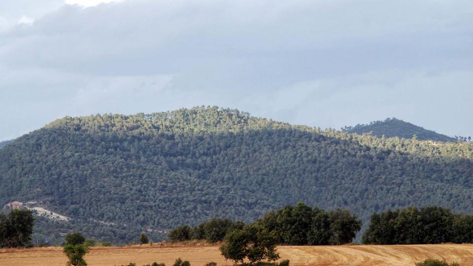 9 de Agost de 2016 paisatge  La Llavinera -  Ramon Sunyer