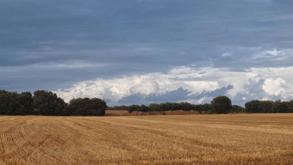 9 de Agost de 2016 Paisatge  La Fortesa -  Ramon Sunyer