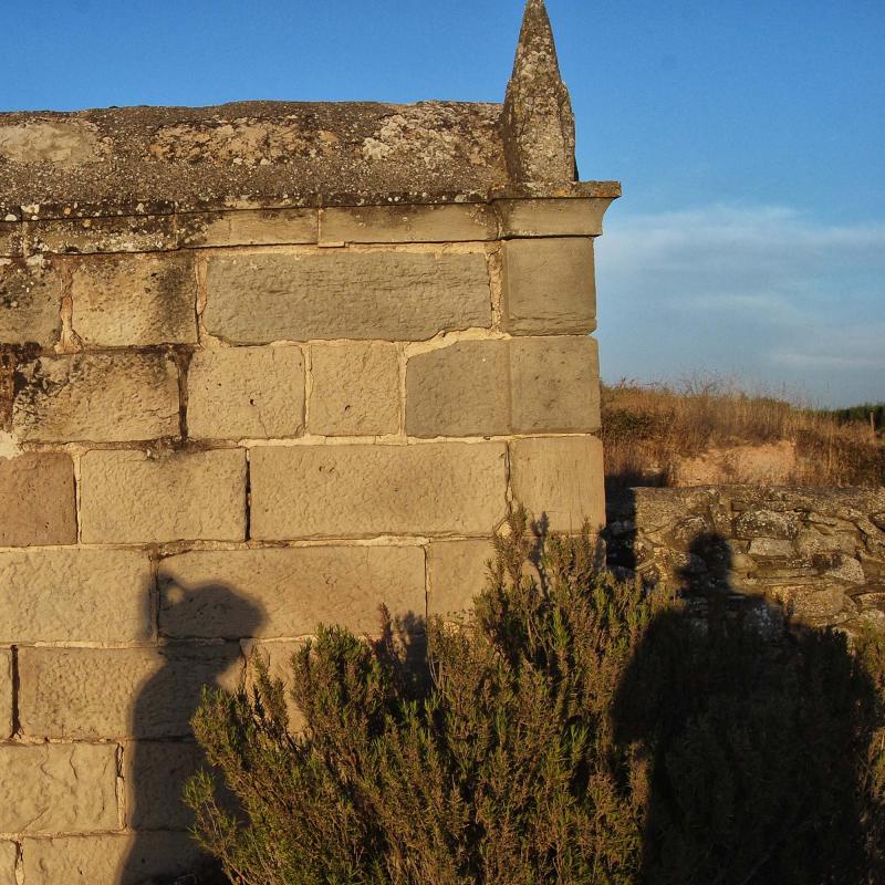 cementiri 11.8.2016 cementiri Solanelles - Ramon Sunyer