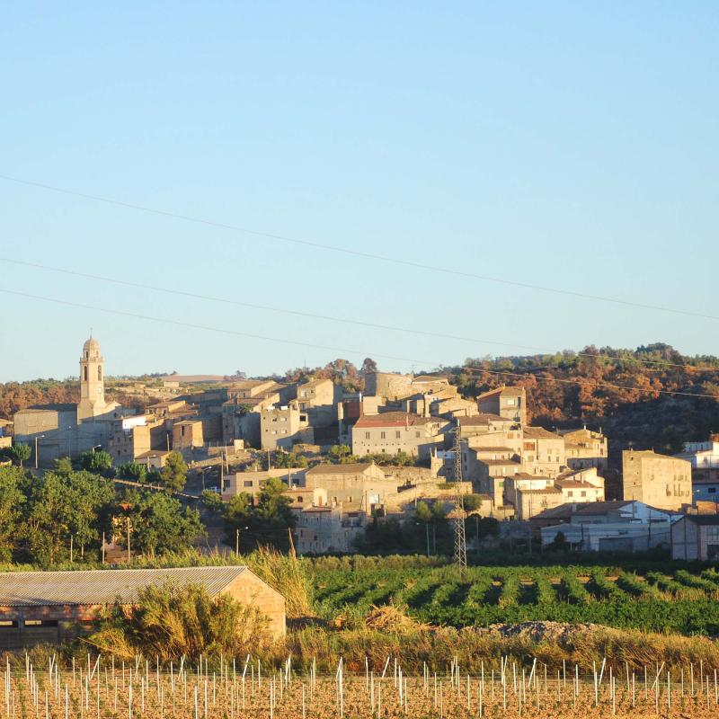 29.8.2016 Rocafort de Vallbona - Ramon Sunyer