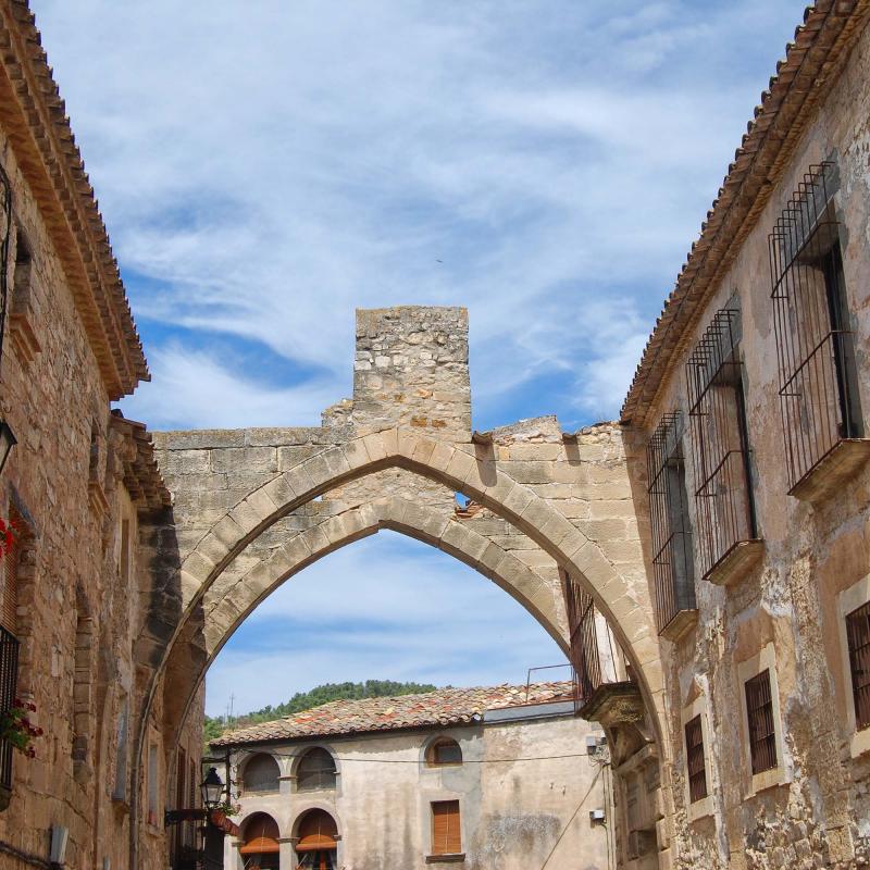 20.8.2016   Vallbona de les Monges -  Ramon Sunyer