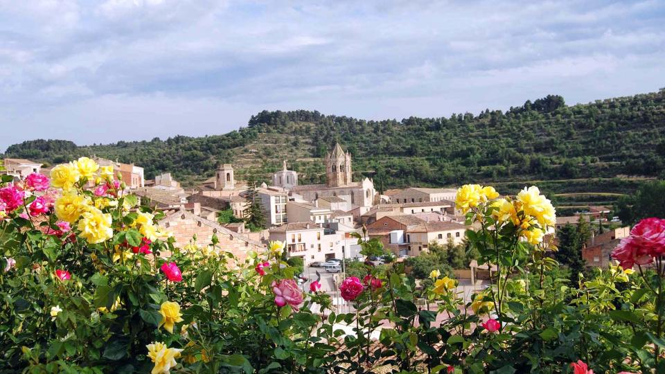 30.5.2015 vista del poble  Vallbona de les Monges -  Ramon Sunyer