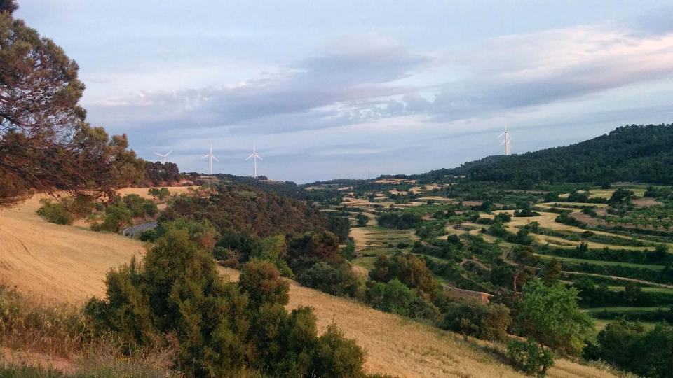 30.05.2015 paisatge  Rocallaura -  Ramon Sunyer