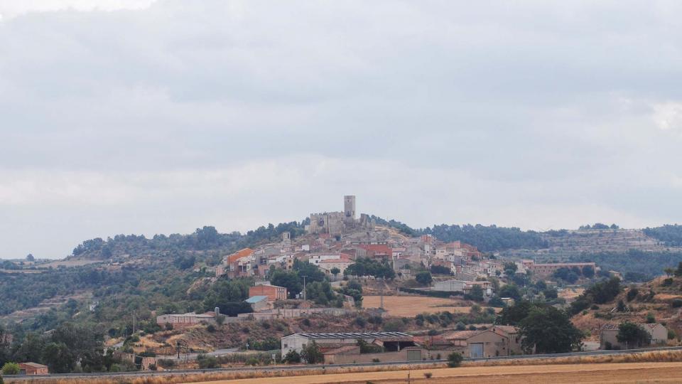 vista 20.8.2016 vista Ciutadilla - Ramon Sunyer