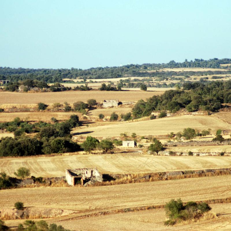 24.8.2016 paisatge  L'Ametlla de Segarra -  Ramon Sunyer