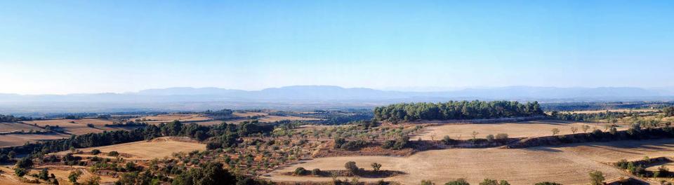 24.8.2016   L'Ametlla de Segarra -  Ramon Sunyer