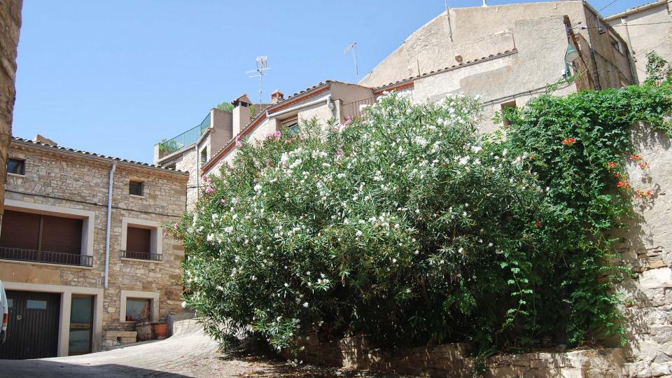 28.8.2016 plaça  Granyena de Segarra -  Ramon Sunyer