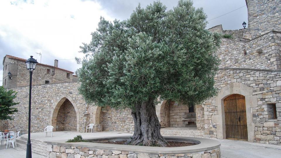 31.8.2016 Plaça del Castell  Forès -  Ramon Sunyer