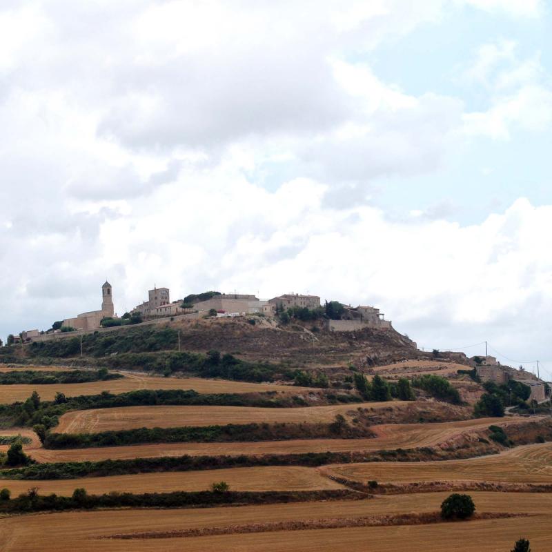 31.8.2016   Forès -  Ramon Sunyer