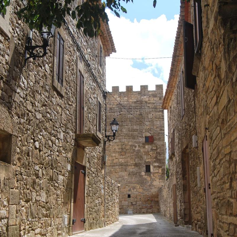 31.8.2016 l'únic carrer  La Pobla de Ferran -  Ramon Sunyer