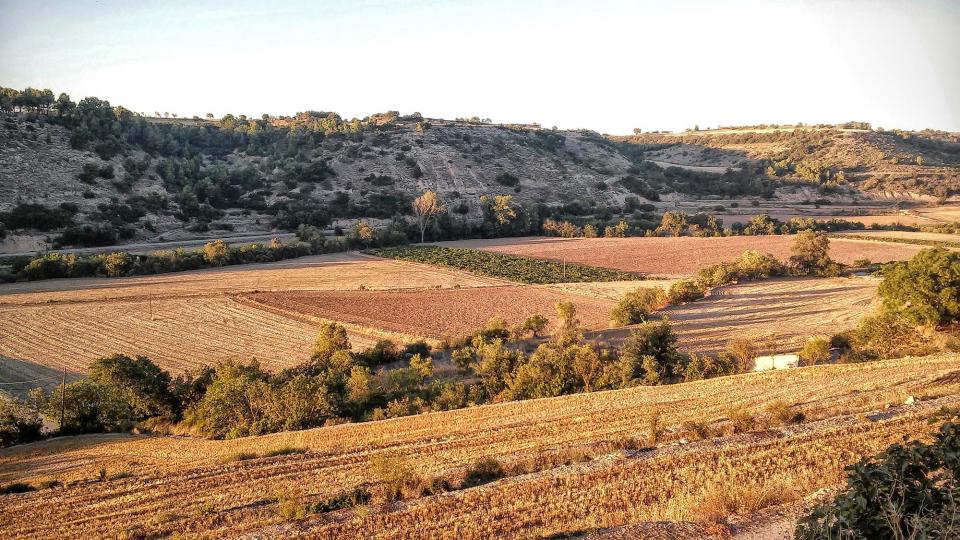 26.8.2014 paisatge  El Mas de Bondia -  Ramon Sunyer