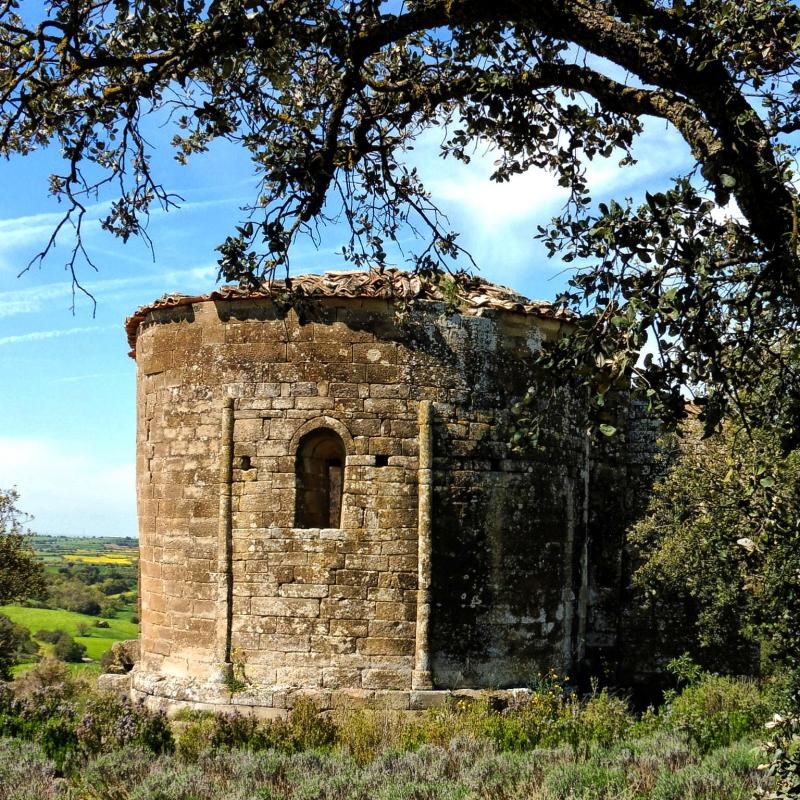 19.4.2016 Ermita de sant Miquel de Tudela  La Prenyanosa -  Isidre Blanc