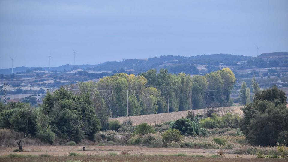 9.10.2016 paisatge del riu Ondara  Vergós -  Ramon Sunyer