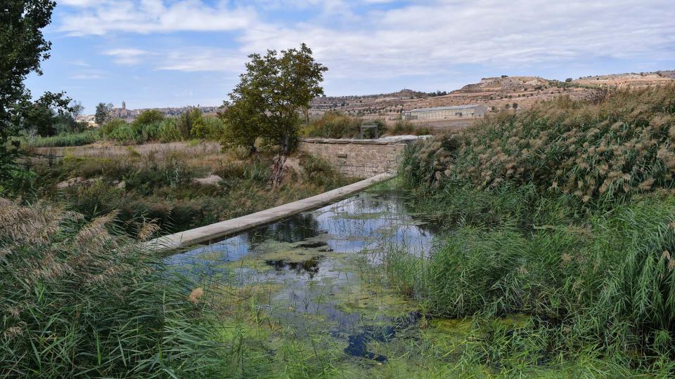 9.10.2016 peixera al riu Ondara  Vergós -  Ramon Sunyer