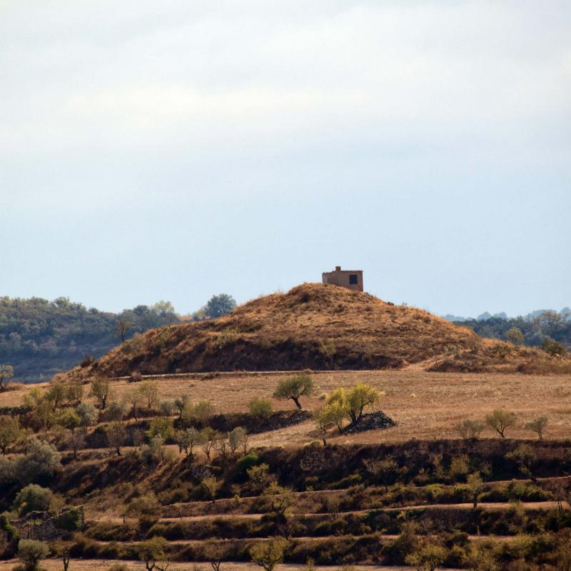 9 de Octubre de 2016 paisatge  Cervera -  Ramon Sunyer