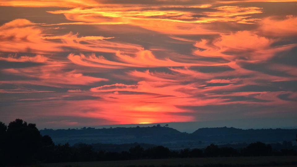 16.10.2016 Ribera d'Ondara - Ramon Sunyer