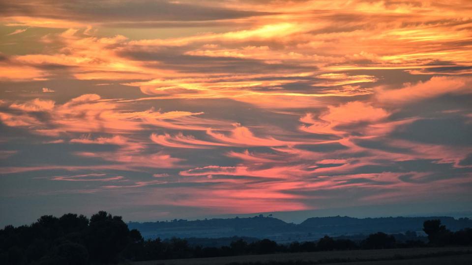 16.10.2016 Ribera d'Ondara - Ramon Sunyer