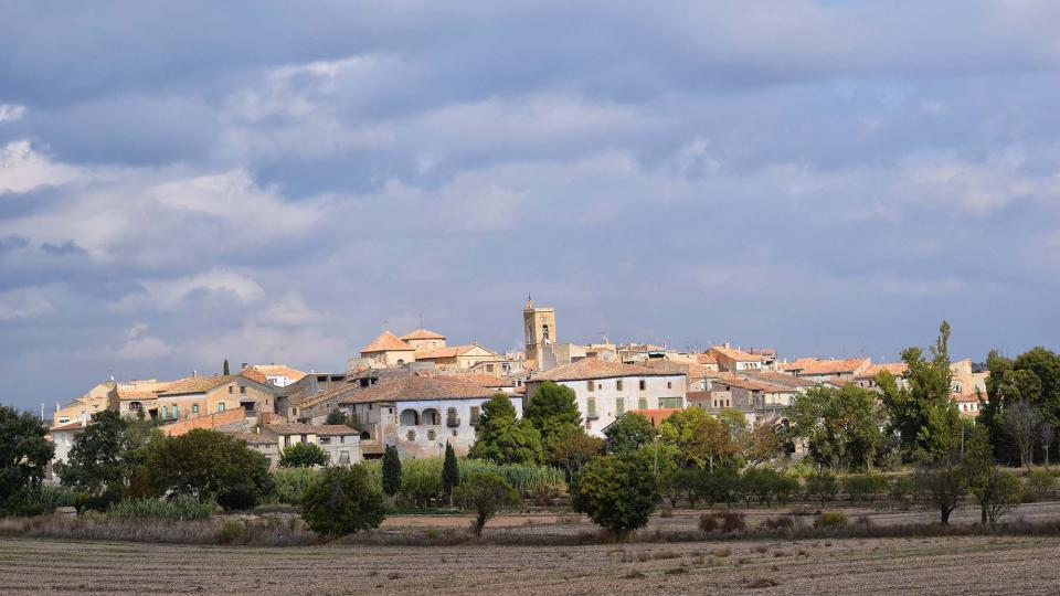 23 de Octubre de 2016 Paisatge  Tarroja de Segarra -  Ramon Sunyer