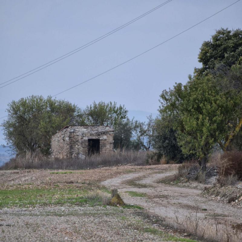 23 de Octubre de 2016 cabana  Tarroja de Segarra -  Ramon Sunyer