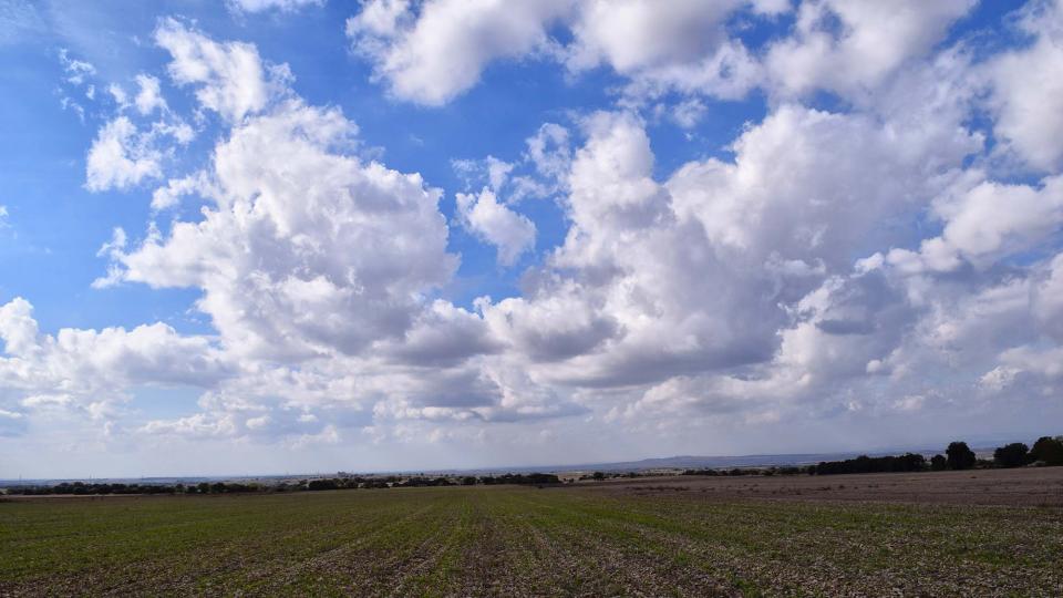 23.10.2016 paisatge  Tarroja de Segarra -  Ramon Sunyer