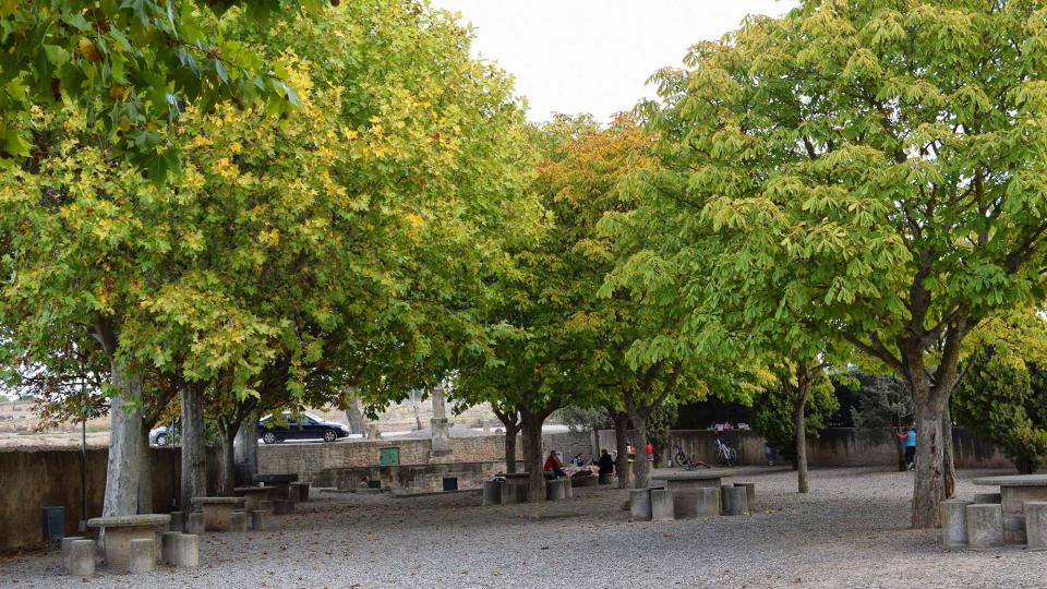 23.10.2016 Font de l'Estany  Guissona -  Ramon Sunyer