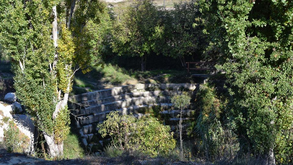 30.10.2016 peixera del Gaià  Santa Coloma de Queralt -  Ramon Sunyer