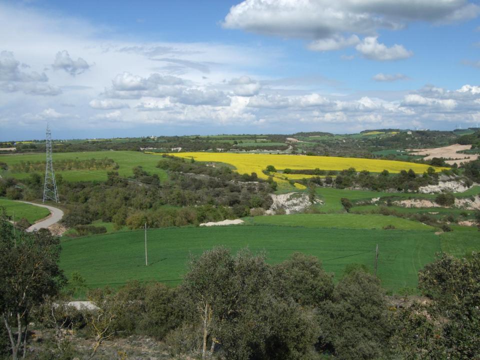 15.11.2016 Vista de la zona afectada des del Castell Sant Miquel d'Alta-riba.  -  Plataforma Defensem el Paisatge de la Segarra (DPAS)