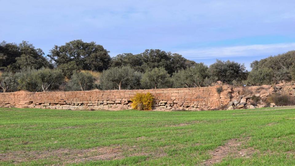 20 de Novembre de 2016 paisatge  L'Aranyó -  Ramon Sunyer