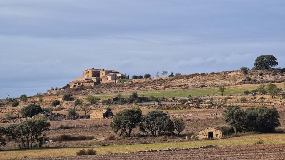 20 de Novembre de 2016 Mas i cabanes  Concabella -  Ramon Sunyer