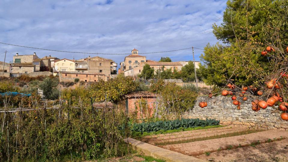 20.11.2016 vista des dels horts  El Canós -  Ramon Sunyer