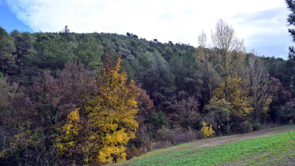 27 de Novembre de 2016 Riera  Maçana -  Ramon Sunyer