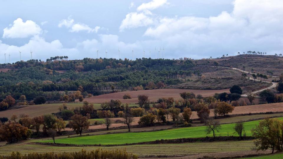 27 de Novembre de 2016 Paisatge  Les Coromines -  Ramon Sunyer