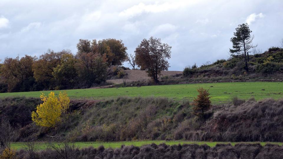 27 de Novembre de 2016 Paisatge  Les Coromines -  Ramon Sunyer