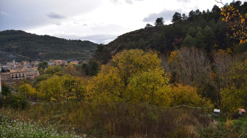 riera 26.11.2016 riera Copons - Ramon Sunyer