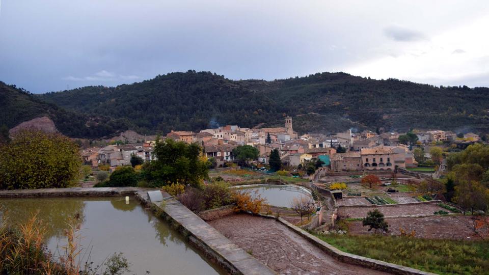 vista 26.11.2016 vista Copons - Ramon Sunyer