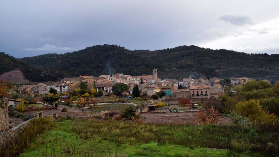 vista 26.11.2016 vista Copons - Ramon Sunyer