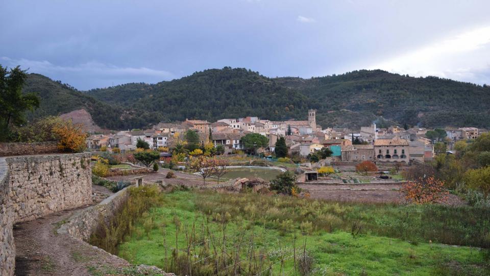 vista 26.11.2016 vista Copons - Ramon Sunyer