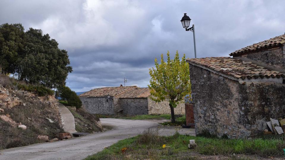 4.12.2016   Montfalcó el Gros -  Ramon Sunyer