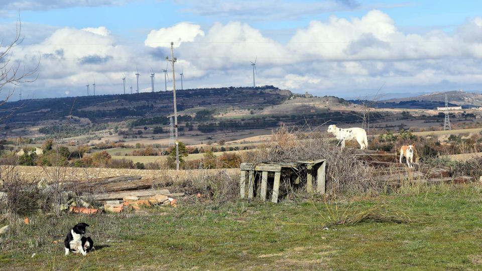 4.12.2016   Montfalcó el Gros -  Ramon Sunyer