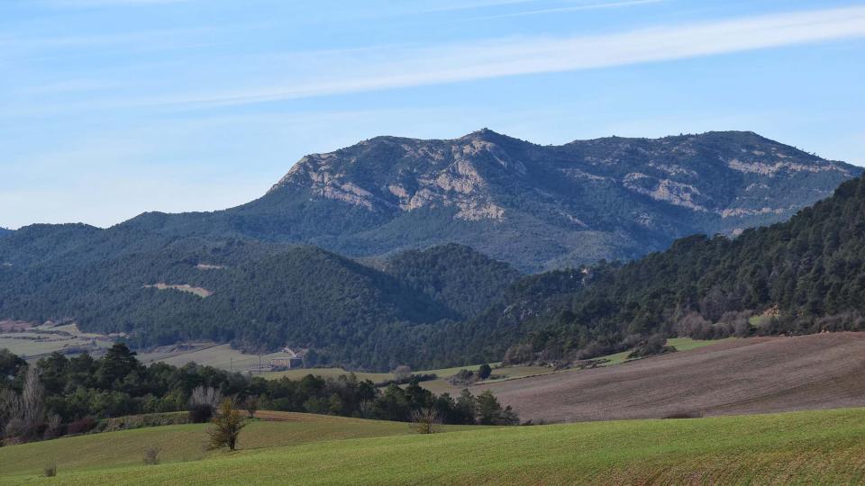 26.12.2016   Valldeperes -  Ramon Sunyer