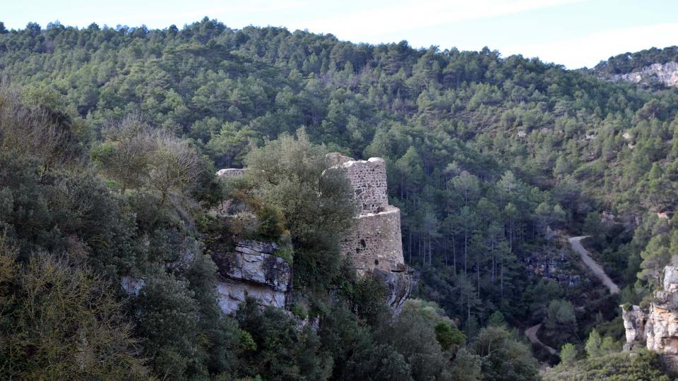 26.12.2016   Santa Perpètua de Gaià -  Ramon Sunyer