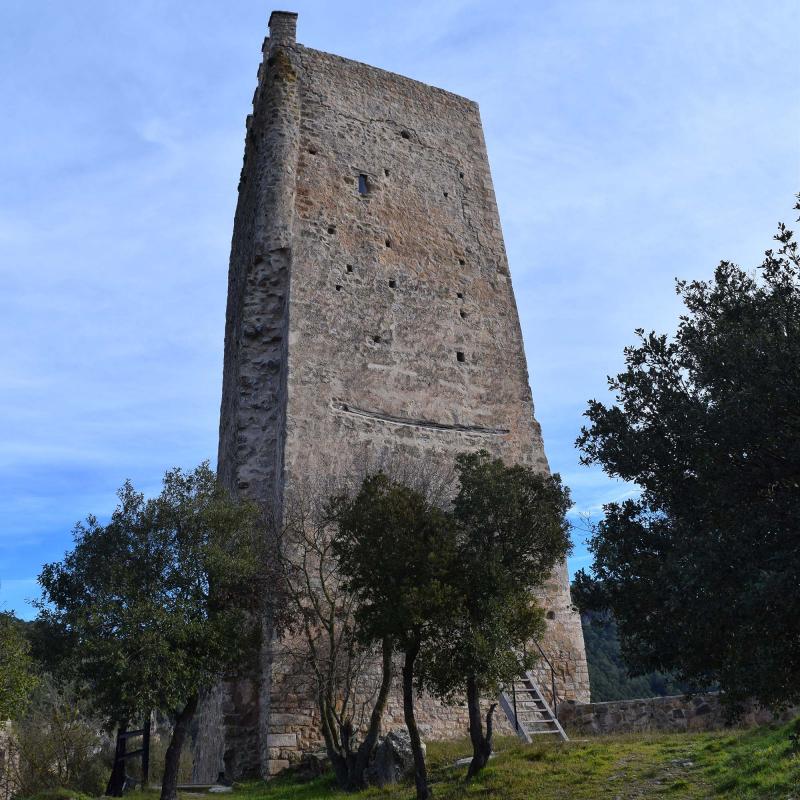 26.12.2016   Santa Perpètua de Gaià -  Ramon Sunyer