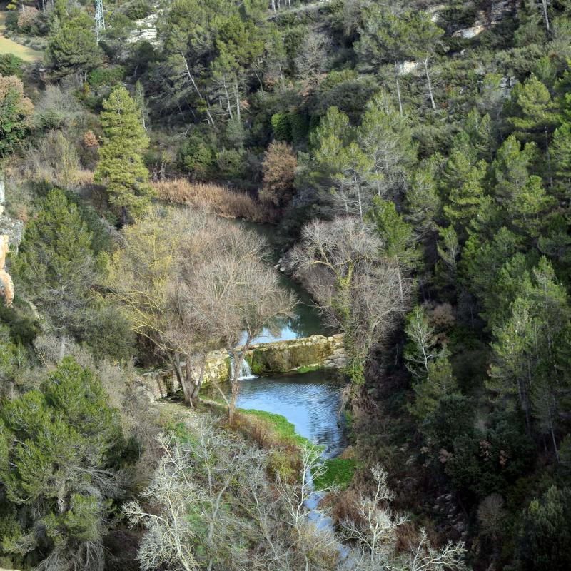 26.12.2016   Santa Perpètua de Gaià -  Ramon Sunyer