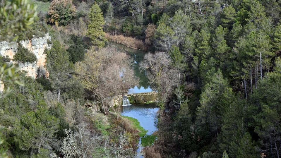 26 de Desembre de 2016 Peixera al riu Gaià  Santa Perpètua de Gaià -  Ramon Sunyer